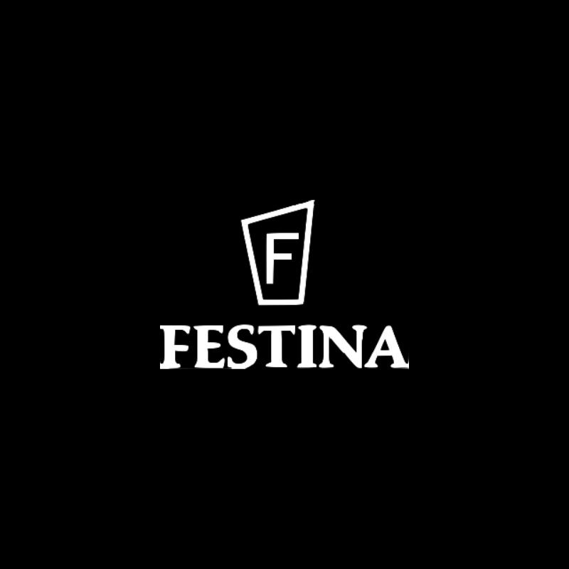 Festina Azzam Watches
