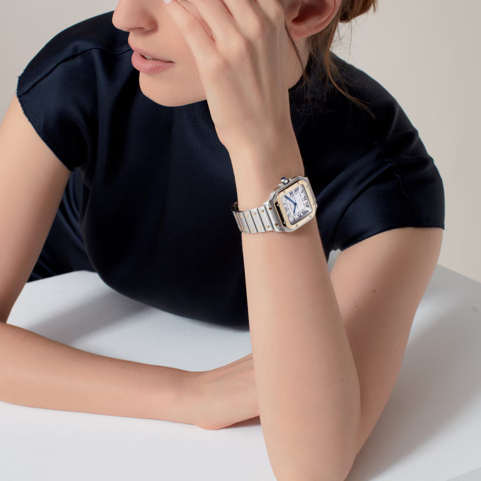 Santos de Cartier watch Cartier