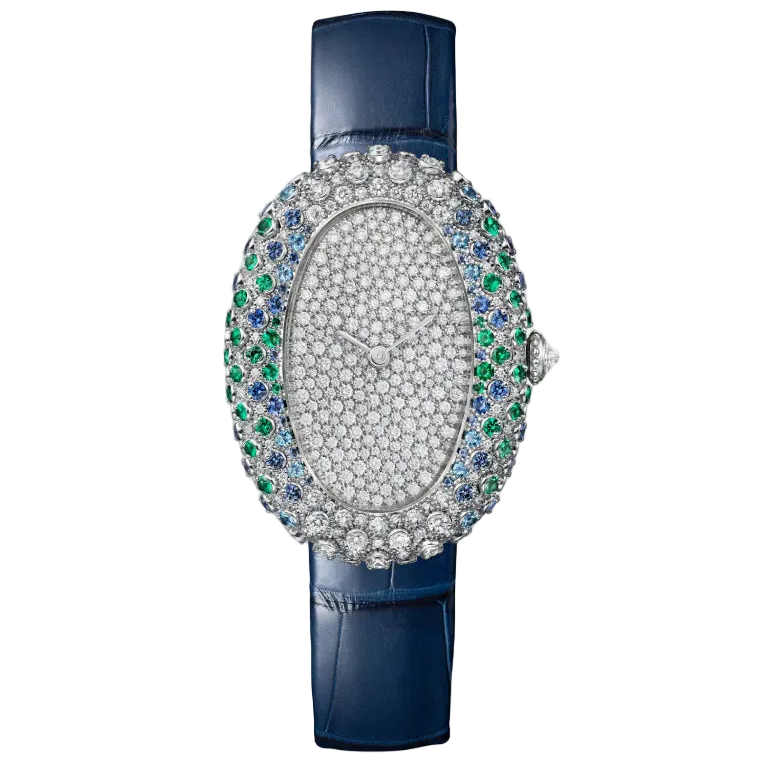 Baignoire watch Cartier
