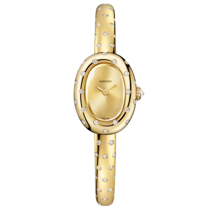 Baignoire watch Cartier