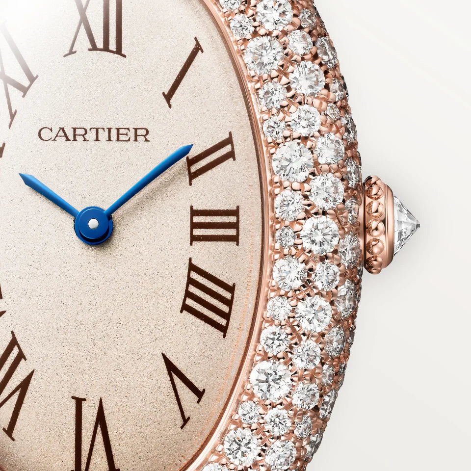 Baignoire watch Cartier