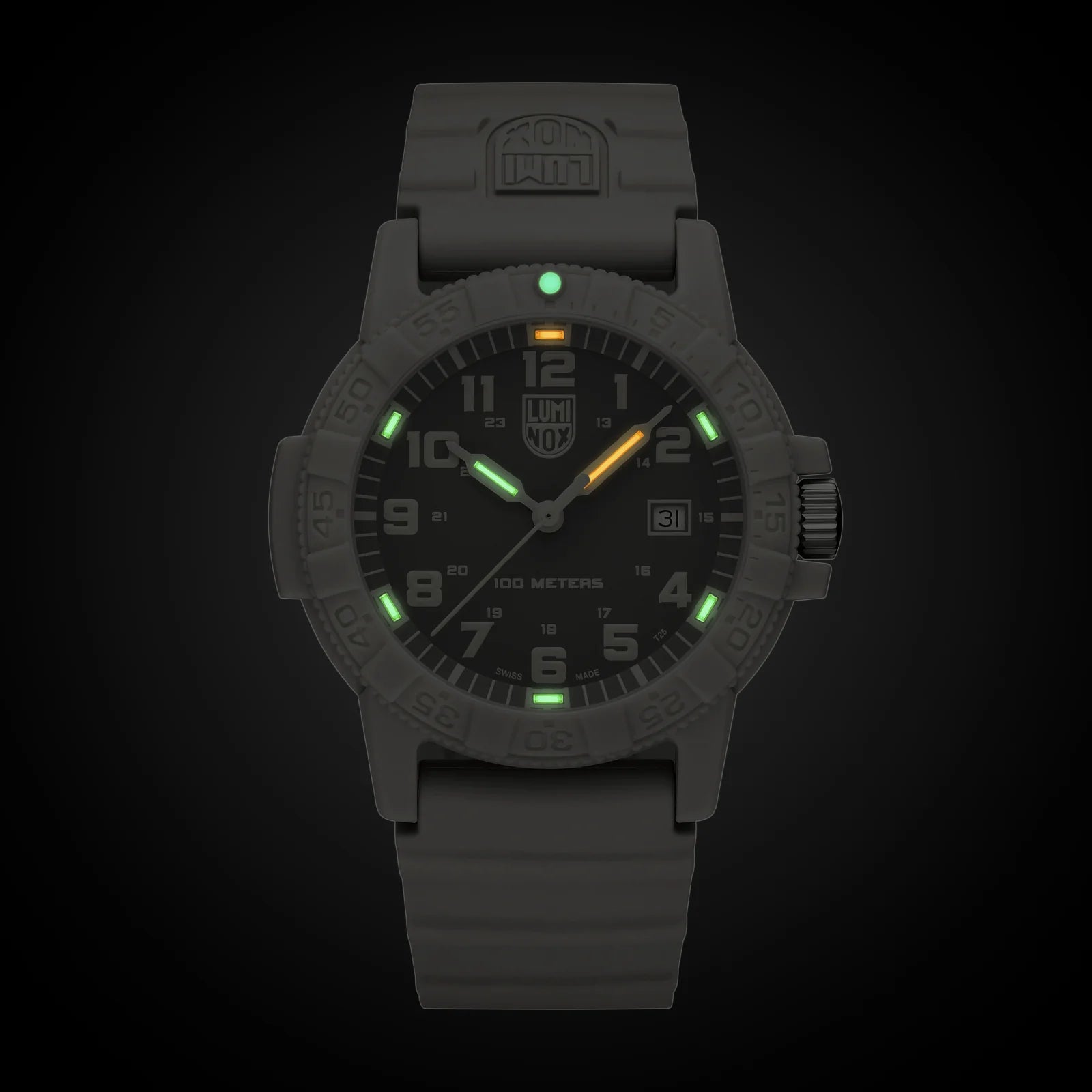 Leatherback SEA Turtle XS.0326 Luminox