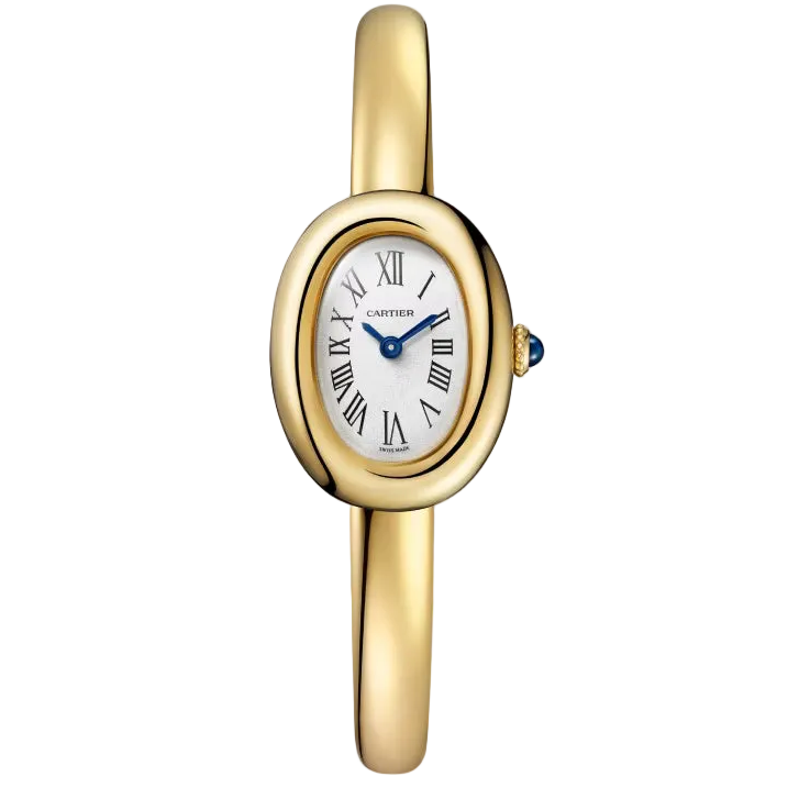 Baignoire watch Cartier