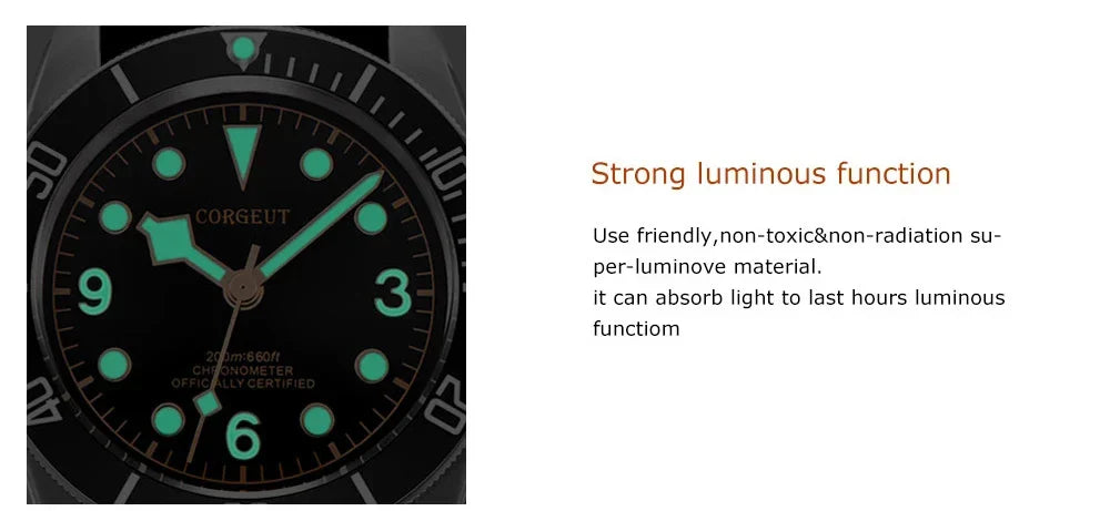 Customizing Blackbay NH35 41mm Automatic Date Diving