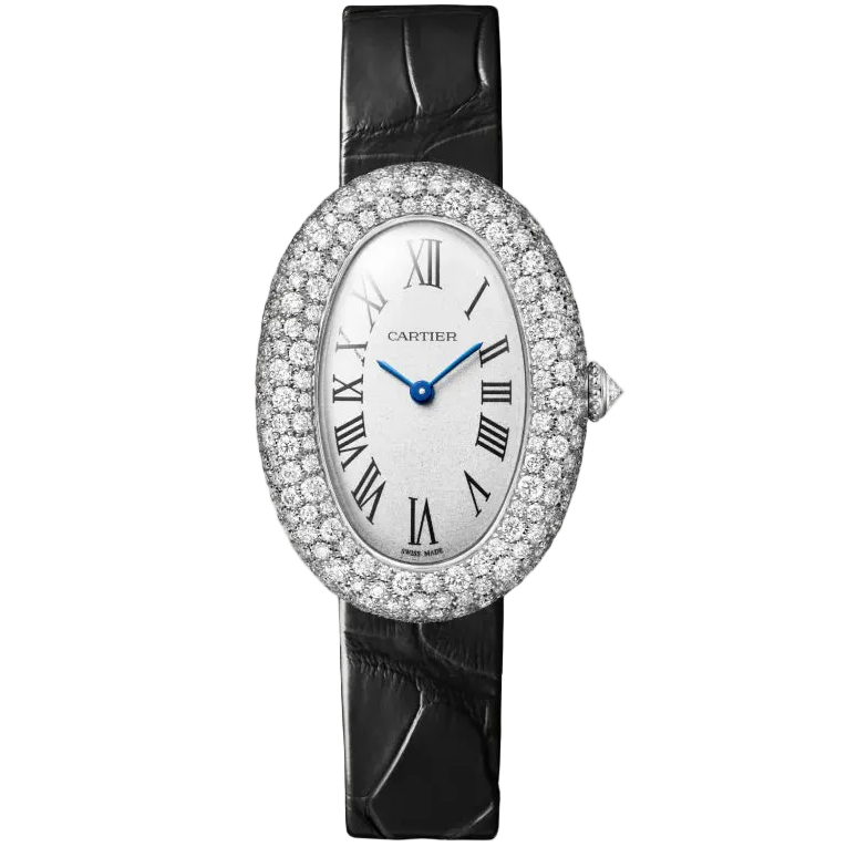 Baignoire watch Cartier