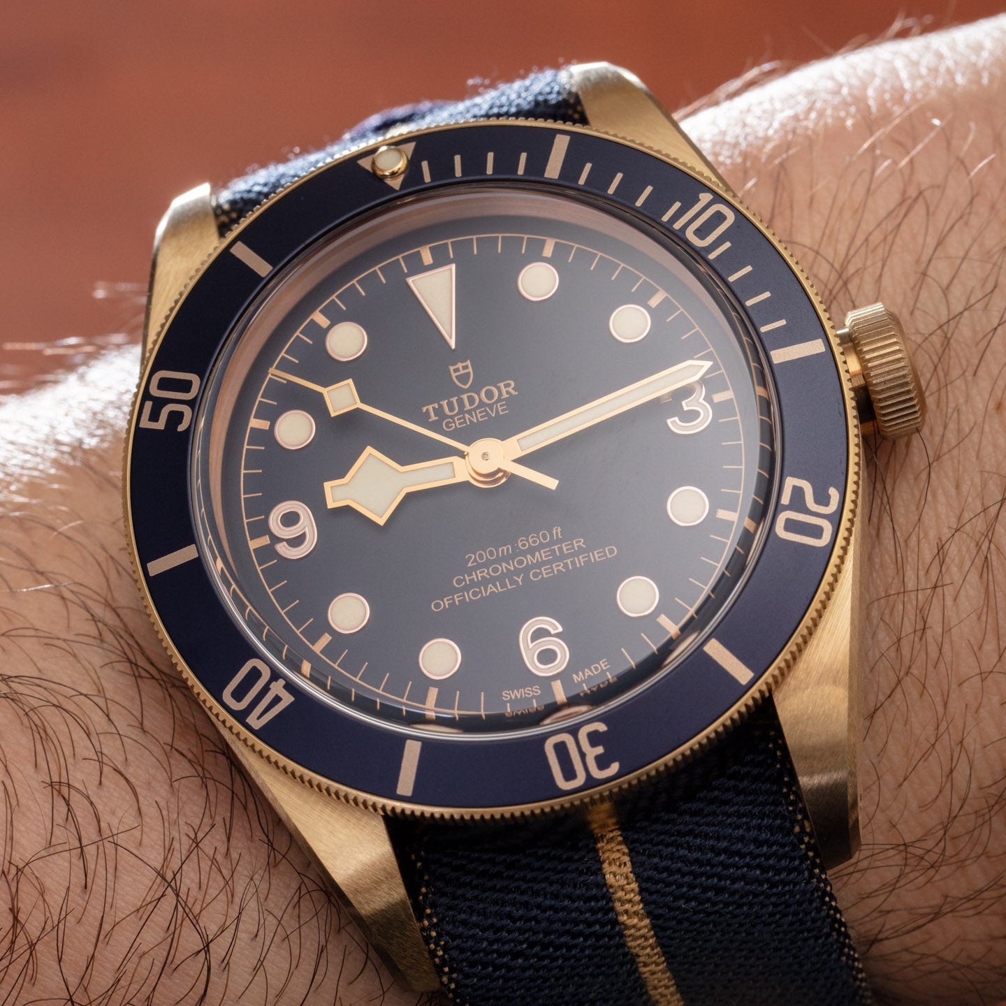 Tudor Heritage Black Bay 79250BB-0001 Automatic Bronze Blue Bucherer
