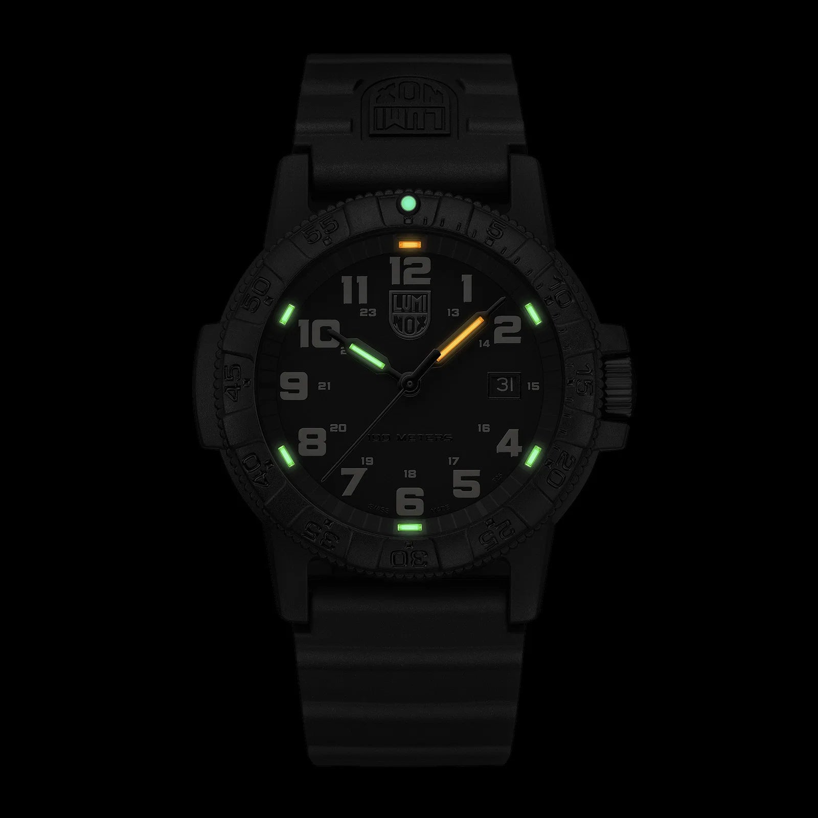 Leatherback SEA Turtle XS.0330 Luminox
