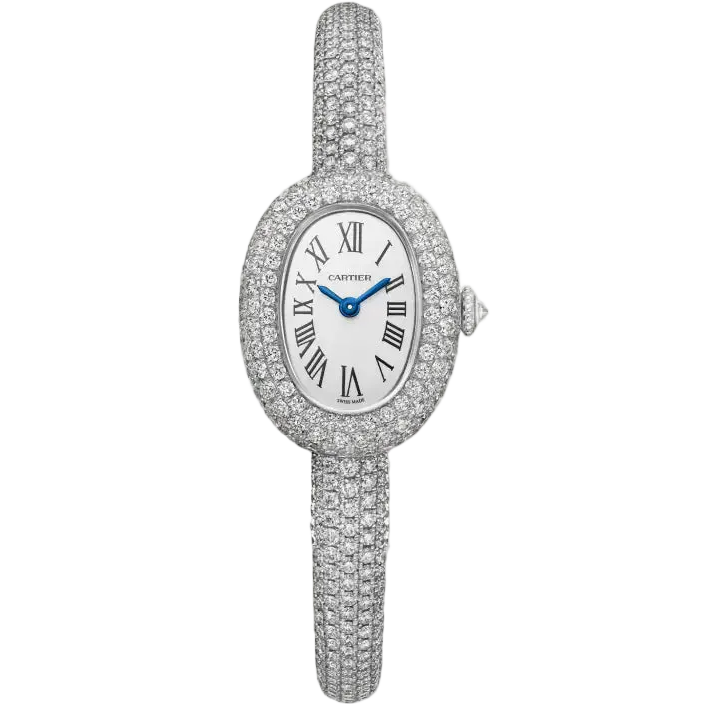 Baignoire watch Cartier