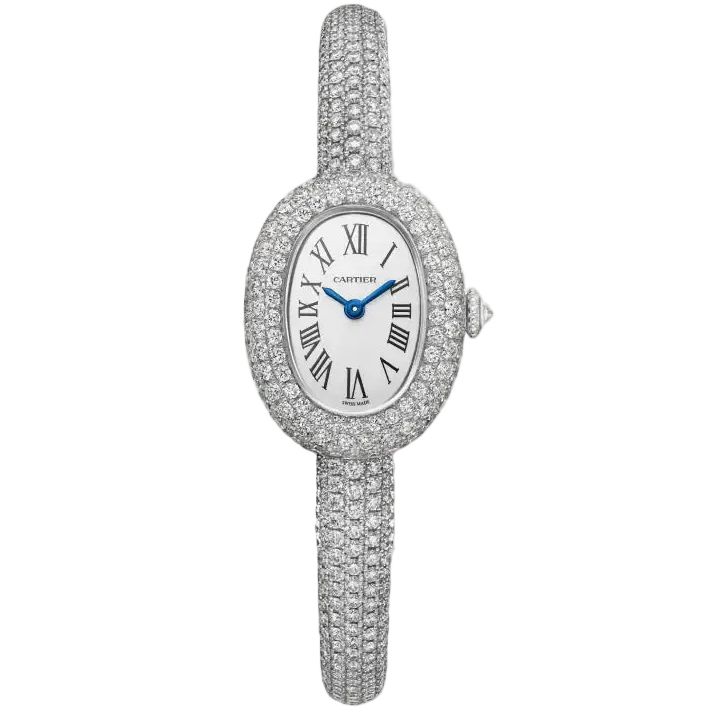 Baignoire watch Cartier