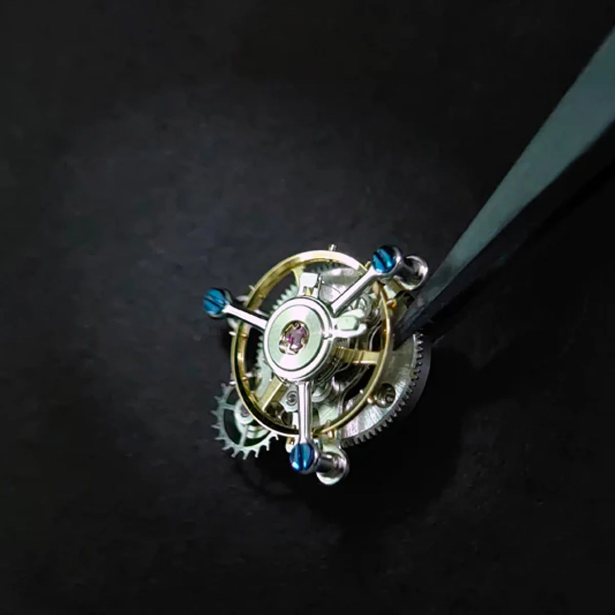 Continental S Carbon Silver MW-19B Waldhoff