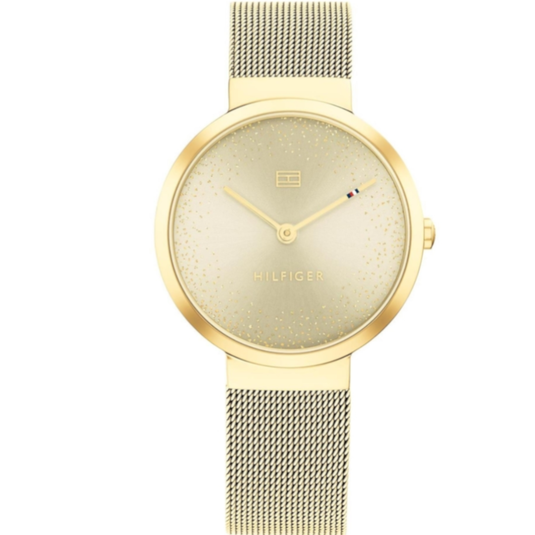 Tommy Hilfiger - 178.2487 - Azzam Watches