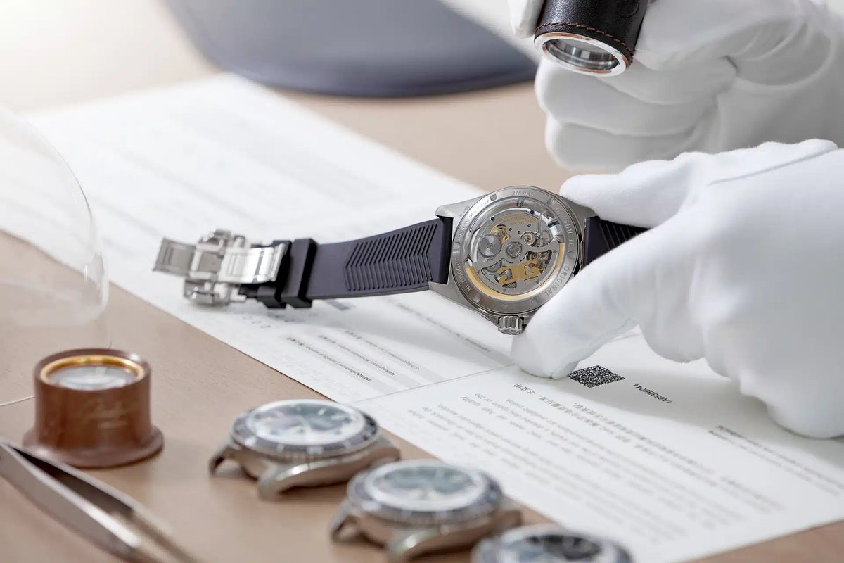 The Language of Time: An Investigative Deep Dive into the Vaults of the Global Elite