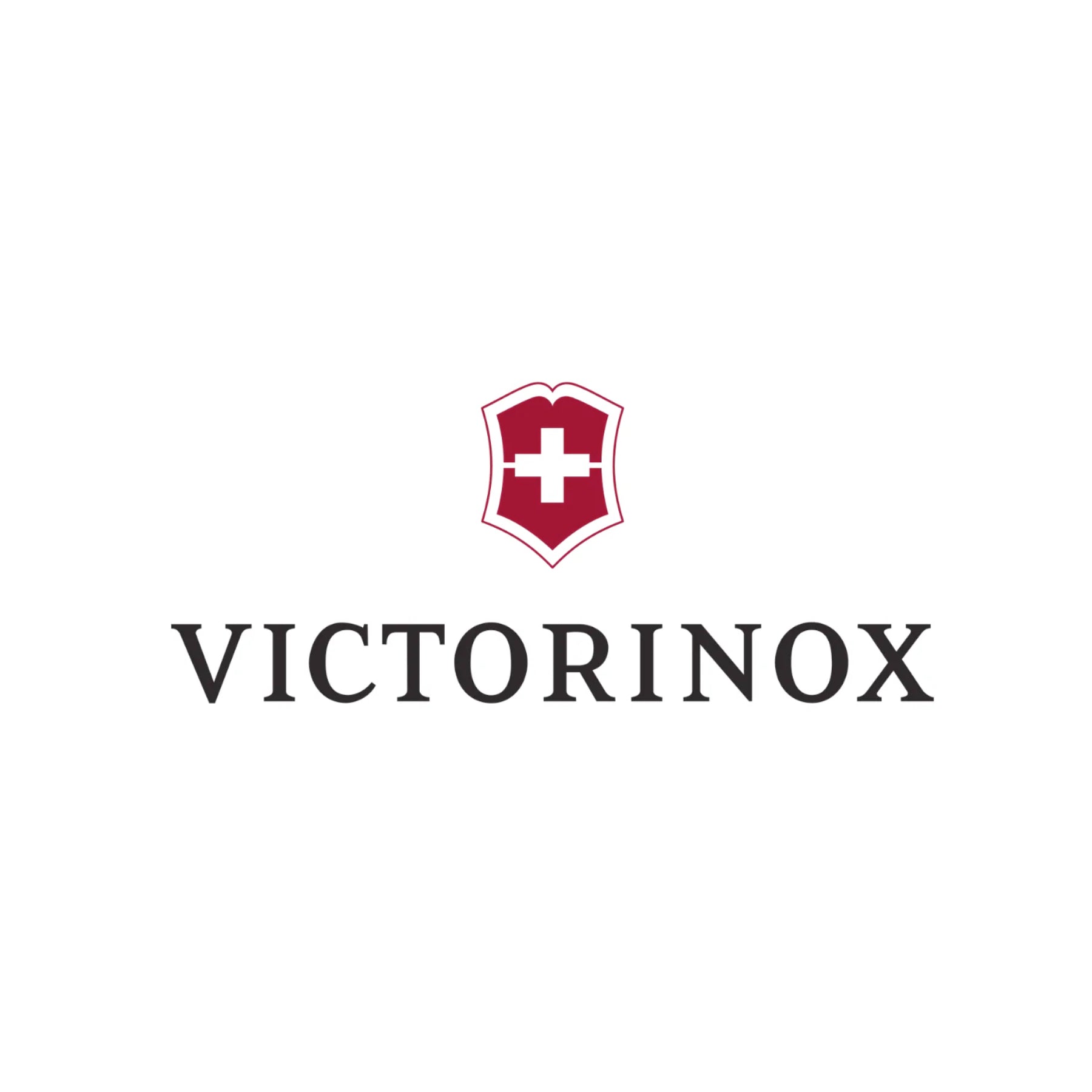 Victorinox Azzam Watches