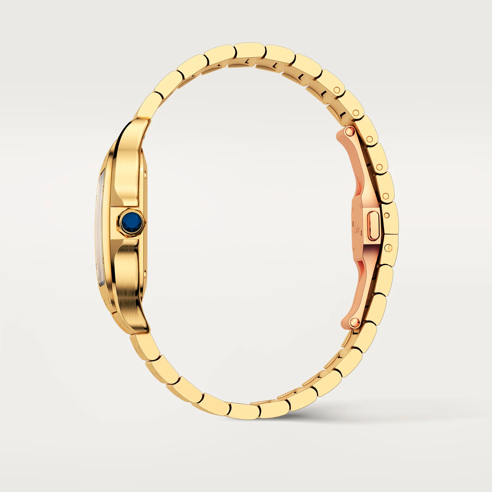 Santos de Cartier watch Cartier
