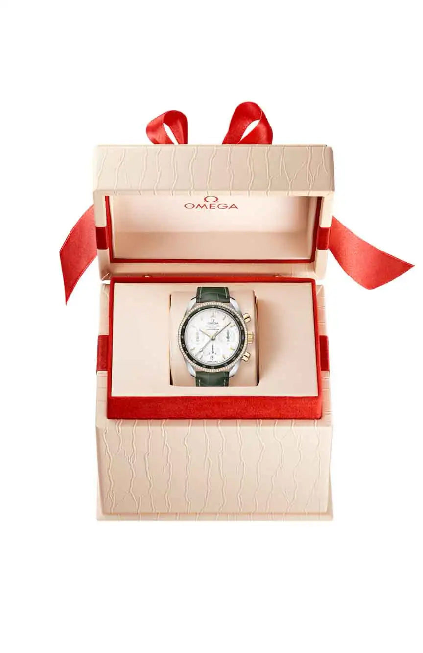 OMEGA SPEEDMASTER SPEEDMASTER 38