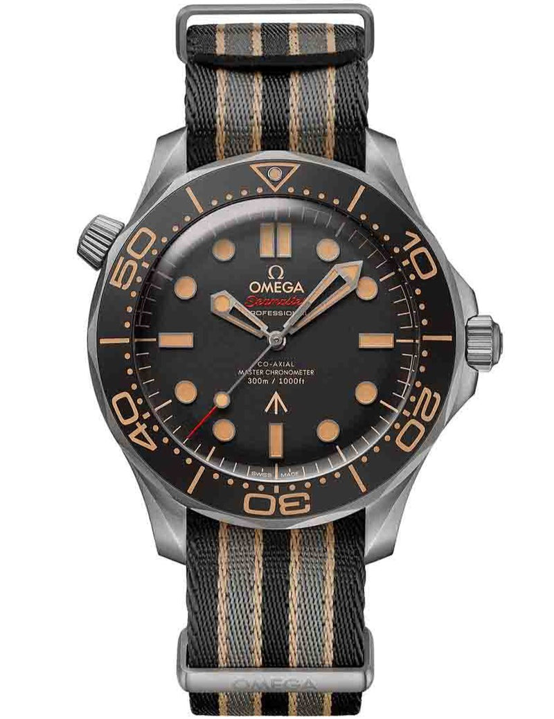 OMEGA DIVER 300M Seamaster 21092422001001