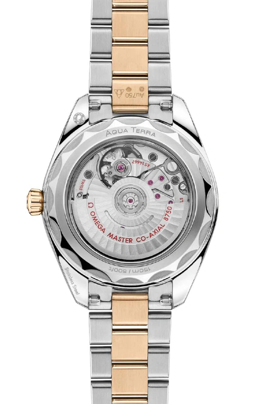 OMEGA SEAMASTER AQUA TERRA 150M