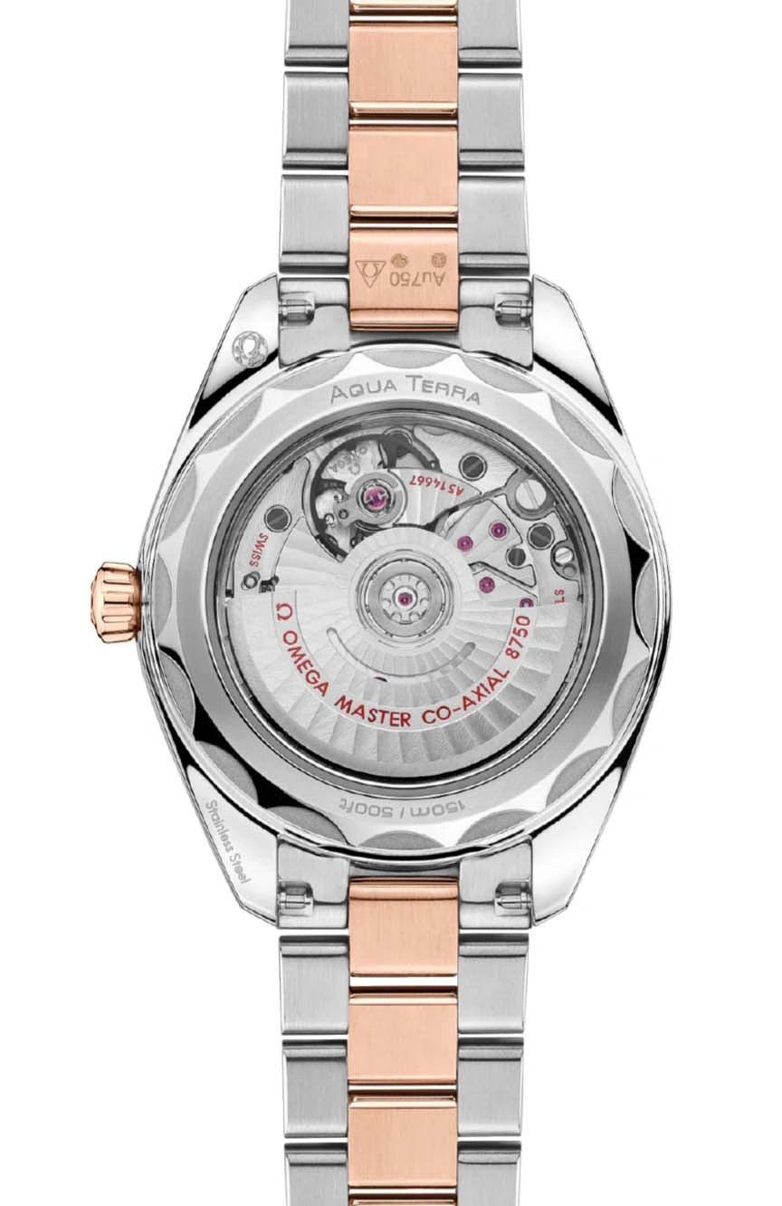 OMEGA SEAMASTER AQUA TERRA 150M