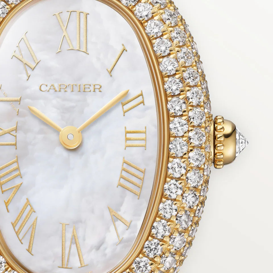 Baignoire watch Cartier