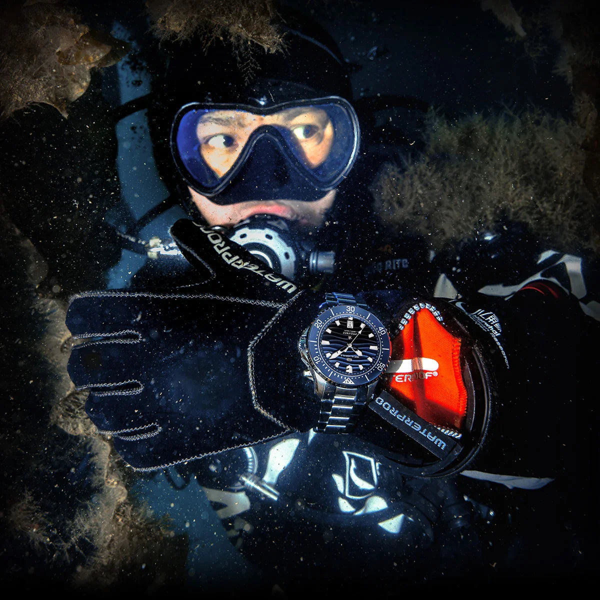 Seagull Ocean Series 300M