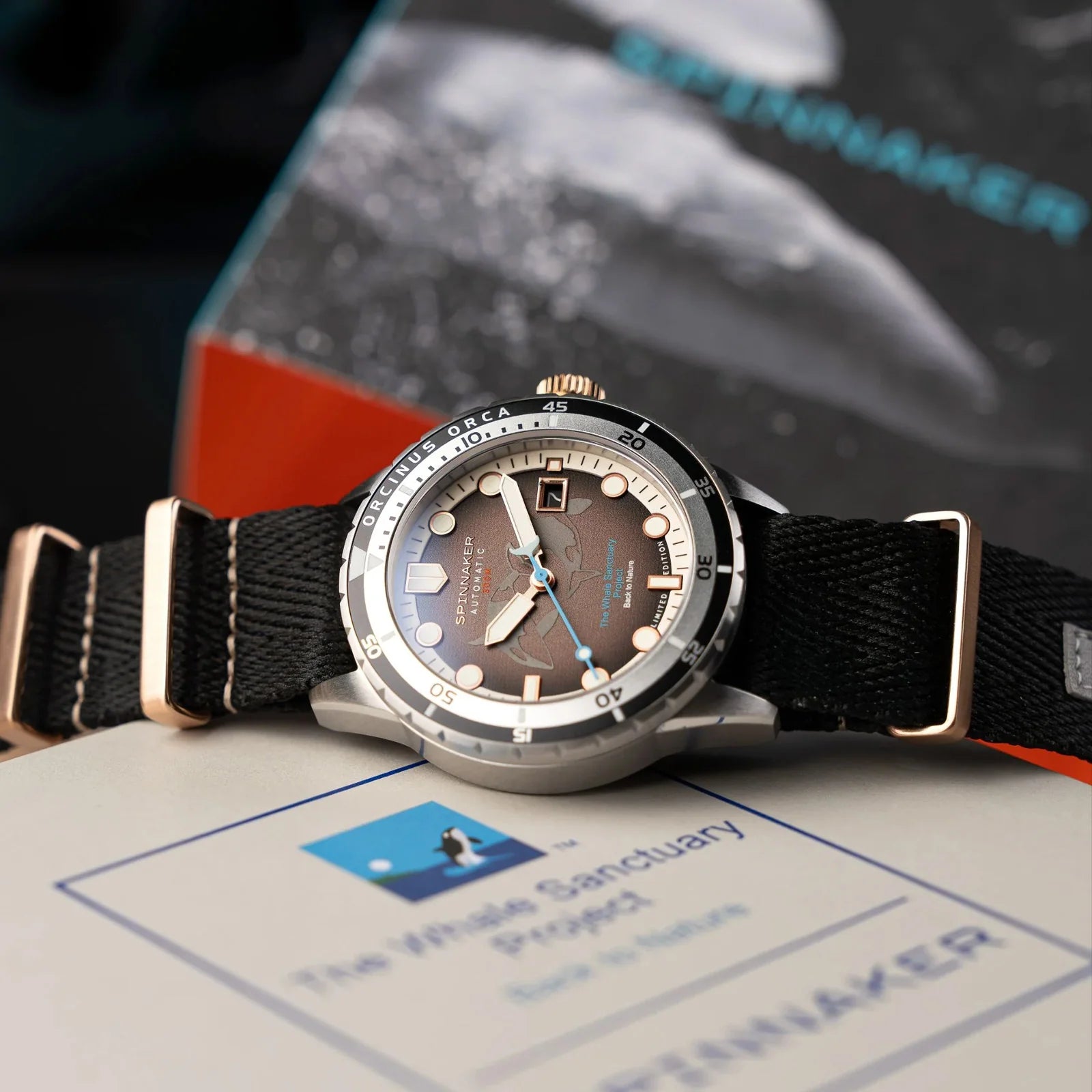Hass Automatic Whale Sanctuary Project Limited Edition SP-5128-44 Spinnaker