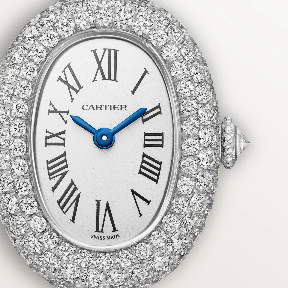 Baignoire watch Cartier