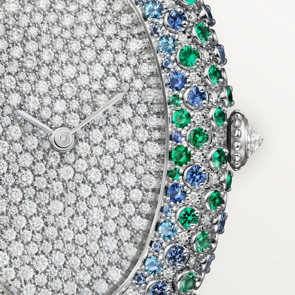 Baignoire watch Cartier