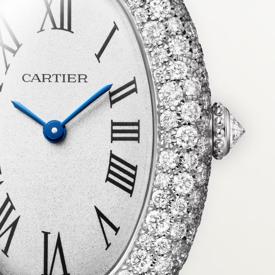 Baignoire watch Cartier