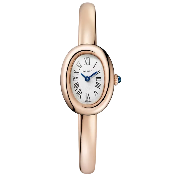 Baignoire watch Cartier