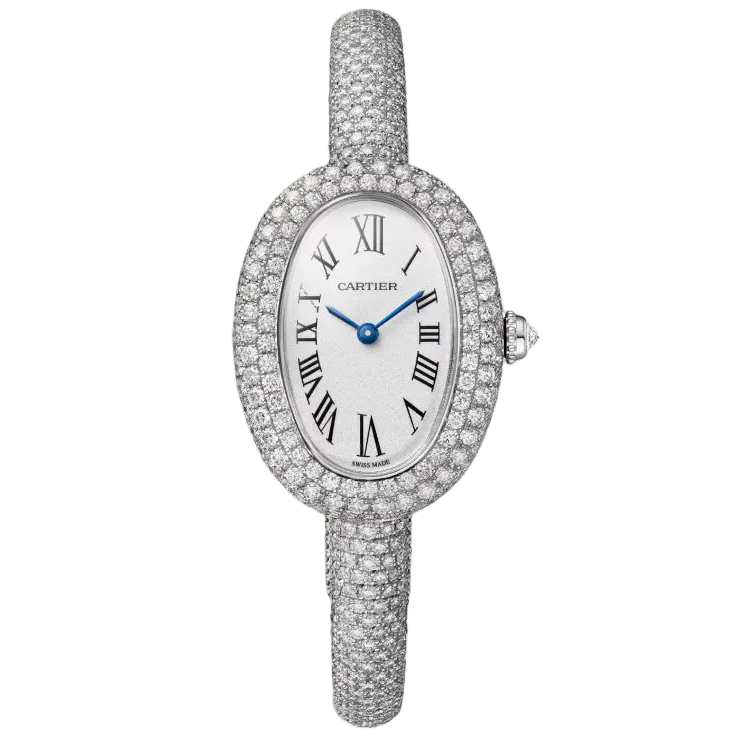 Baignoire watch Cartier