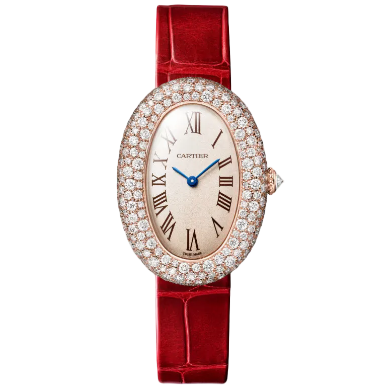 Baignoire watch Cartier