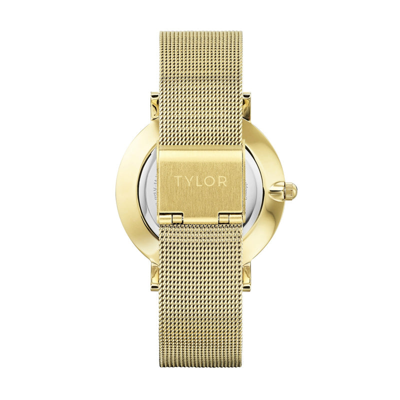TYLOR - TLAF006 - Azzam Watches 